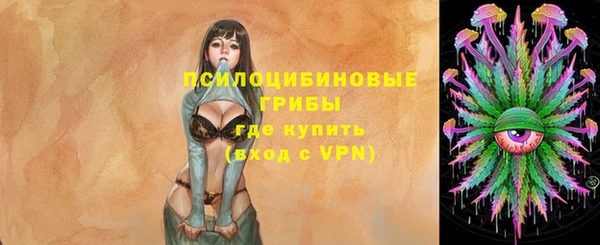 spice Аркадак